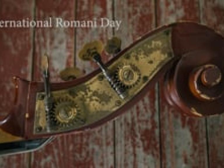 ROMACT in Romania, Toplita, Darmanesti, Ulmeni