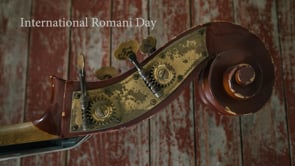 ROMACT in Romania, Toplita, Darmanesti, Ulmeni